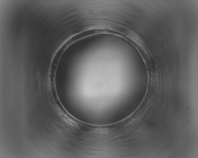 X0000073491068200607311220
