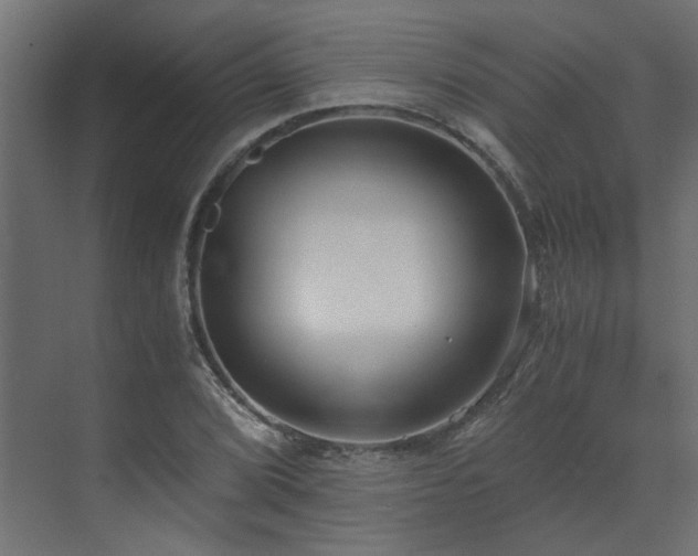 X0000073491072200607311220