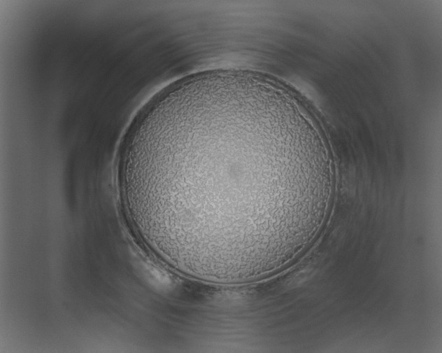 X0000073491078200607311220