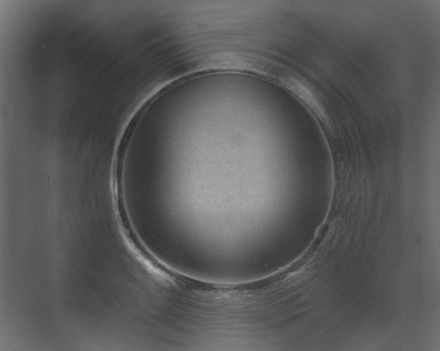 X0000073491084200607311220