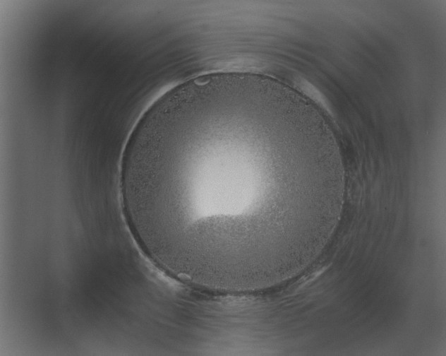 X0000073491087200607311220