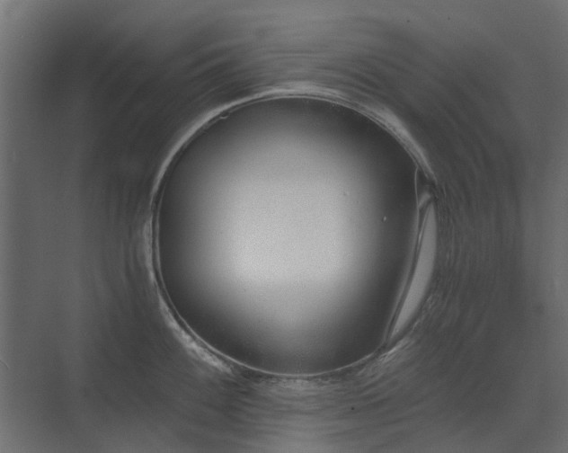 X0000073491100200607311220