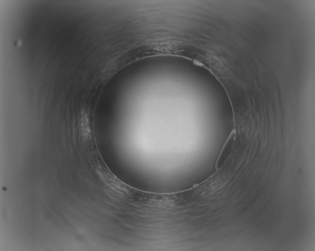X0000073491106200607311219