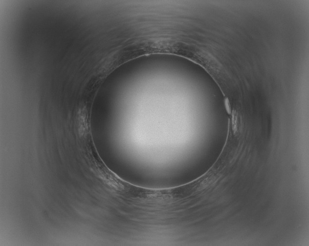 X0000073491107200607311219