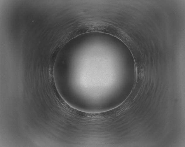 X0000073491108200607311219