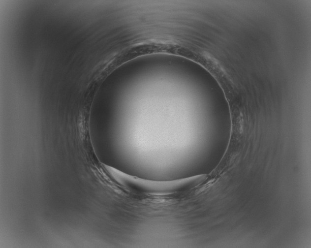 X0000073491110200607311219