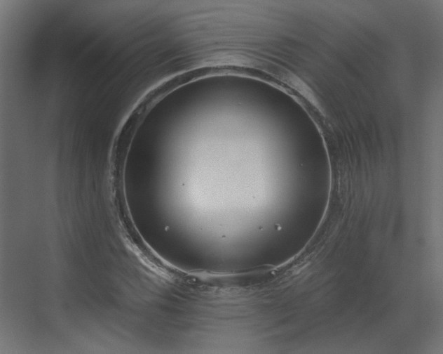 X0000073491116200607311219