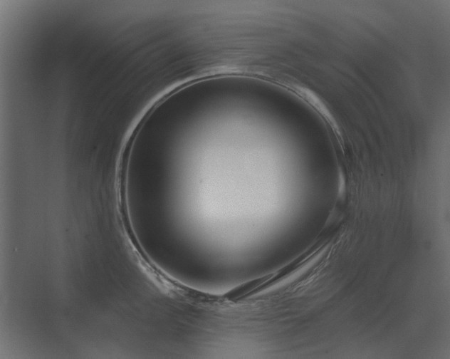 X0000073491148200607311220