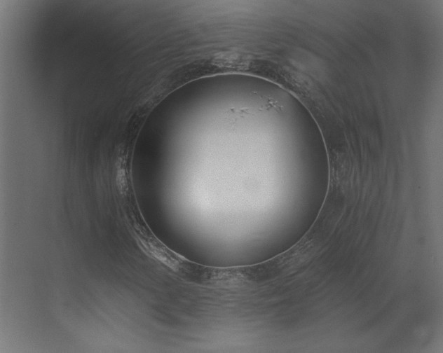 X0000073491154200607311219