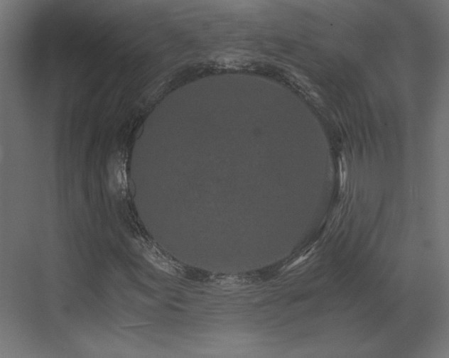 X0000073491155200607311219