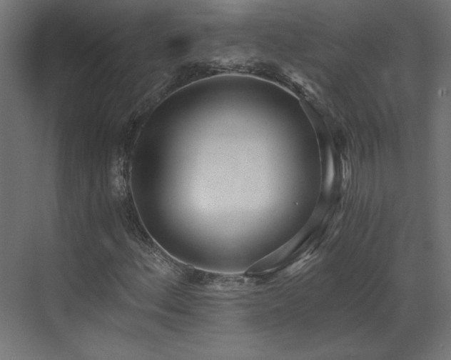 X0000073491156200607311219