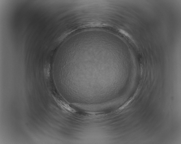 X0000073491161200607311219