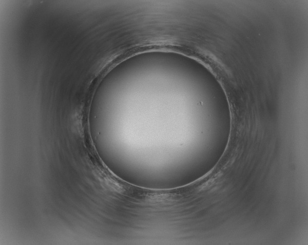 X0000073491162200607311219