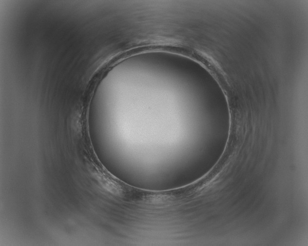 X0000073491163200607311219