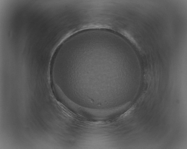 X0000073491173200607311219