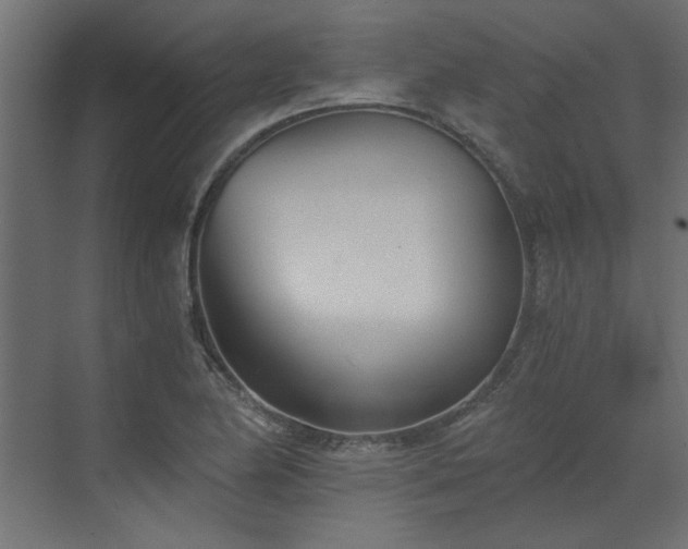 X0000073491174200607311219