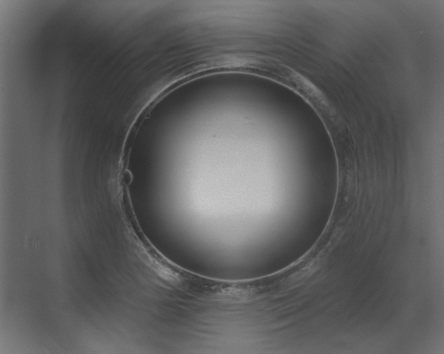 X0000073491178200607311219
