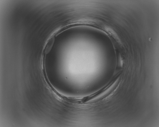 X0000073491180200607311218