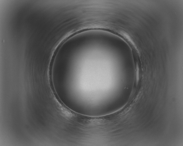 X0000073491181200607311218