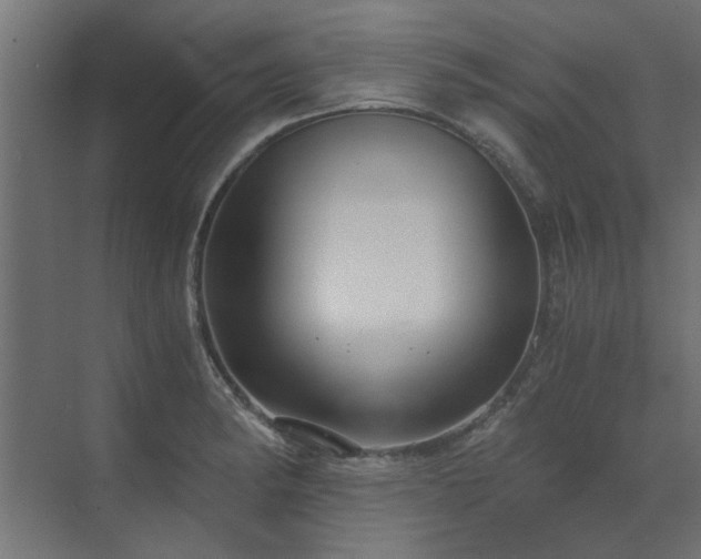 X0000073491182200607311218
