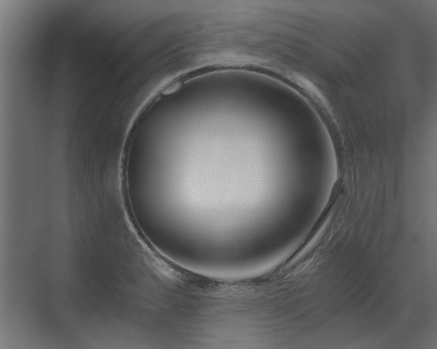 X0000073491183200607311218