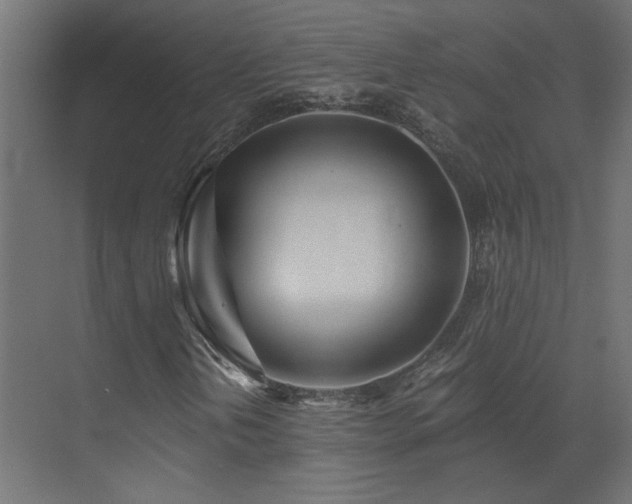 X0000073491202200607311217