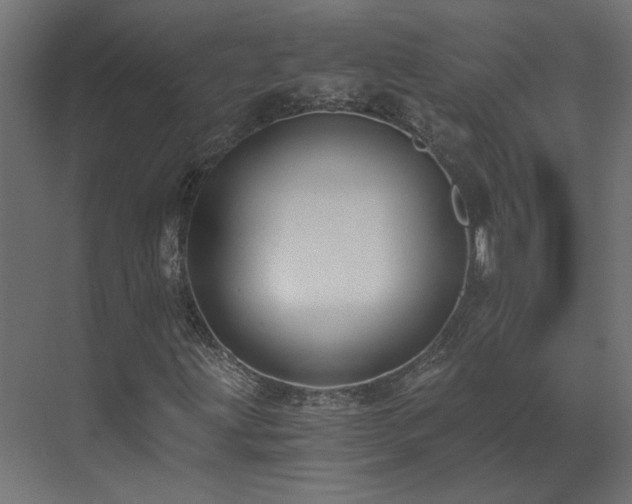 X0000073491203200607311217