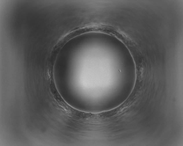 X0000073491206200607311217