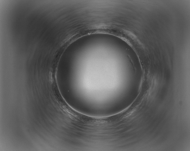 X0000073491209200607311217