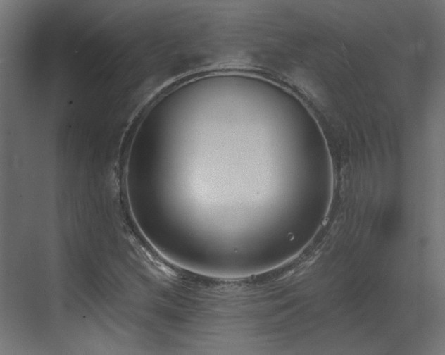 X0000073491212200607311218