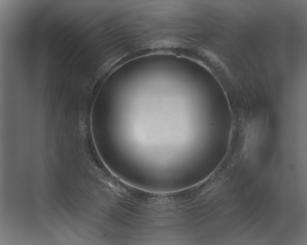 X0000073491217200607311218