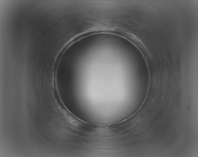 X0000073491220200607311218