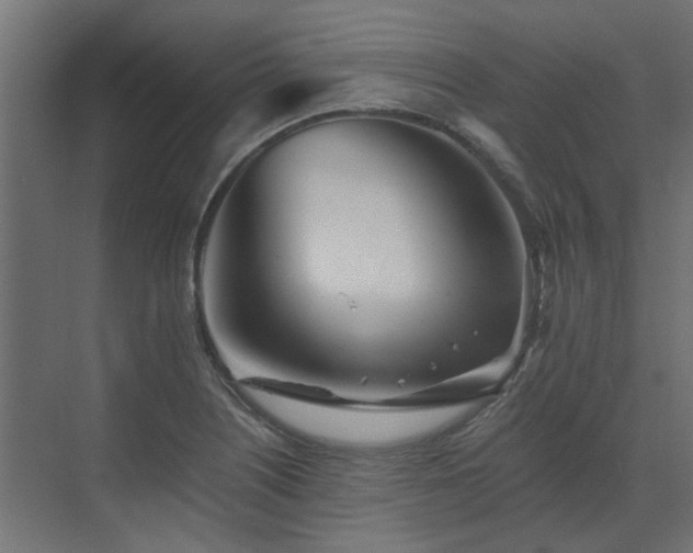X0000073491226200607311218