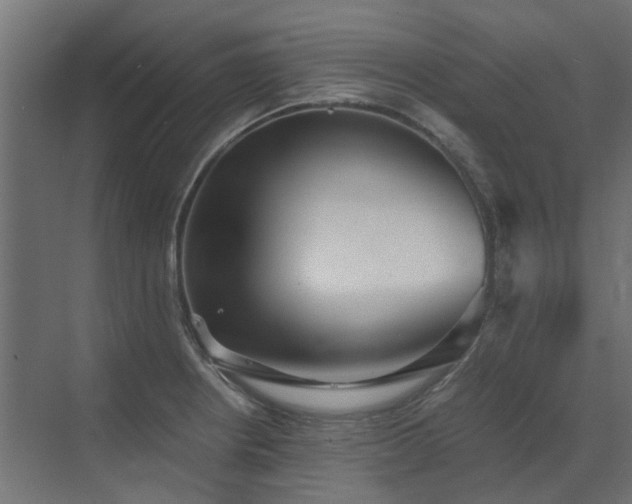 X0000073491234200607311218