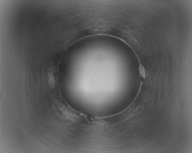 X0000073491250200607311217