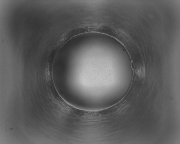 X0000073491252200607311217