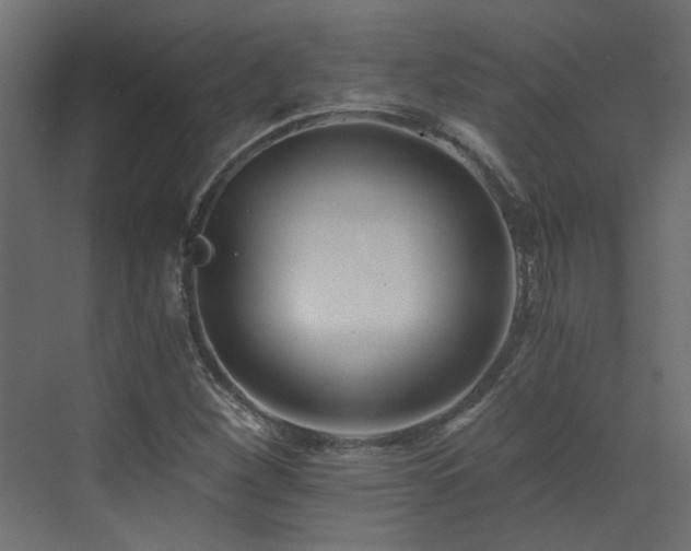 X0000073491260200607311217