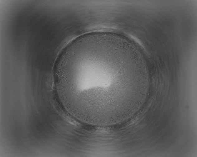 X0000073491267200607311217