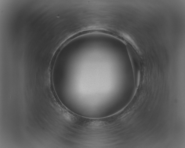 X0000073491268200607311217
