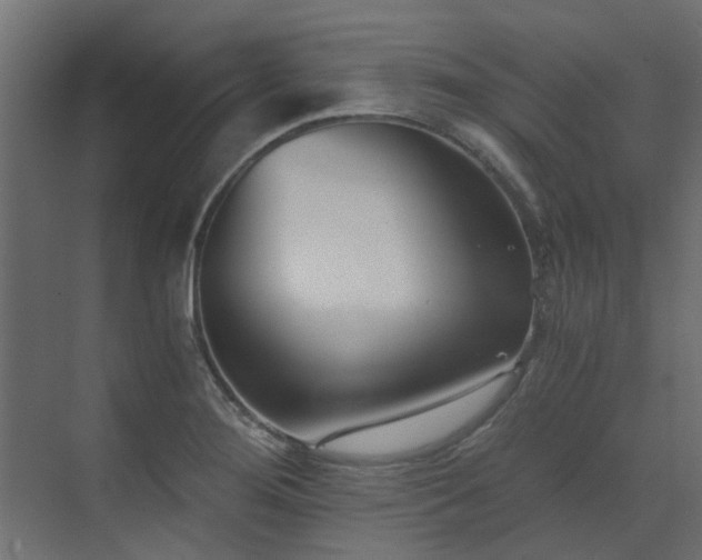 X0000073491276200607311217