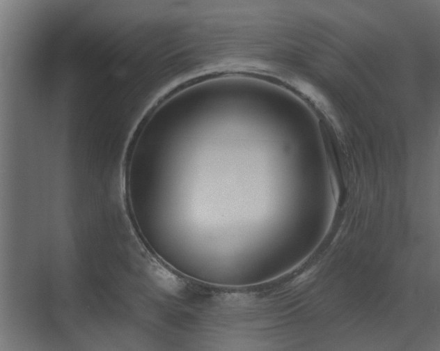 X0000073491280200607311217