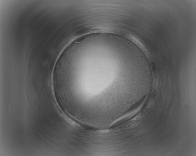 X0000073491283200607311217