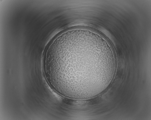 X0000073491290200607311217