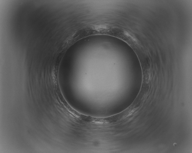 X0000073491298200607311216