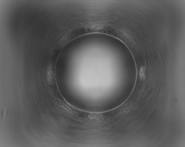 X0000073491299200607311216