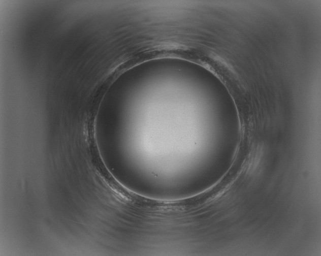 X0000073491305200607311216