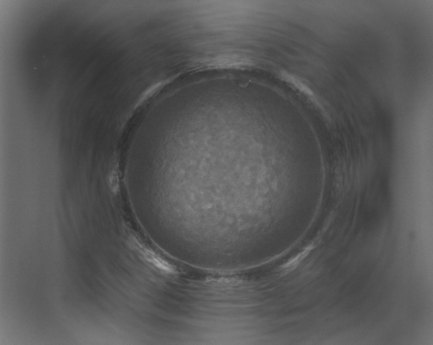 X0000073491306200607311216