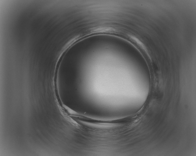 X0000073491330200607311216
