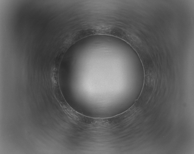 X0000073491346200607311216