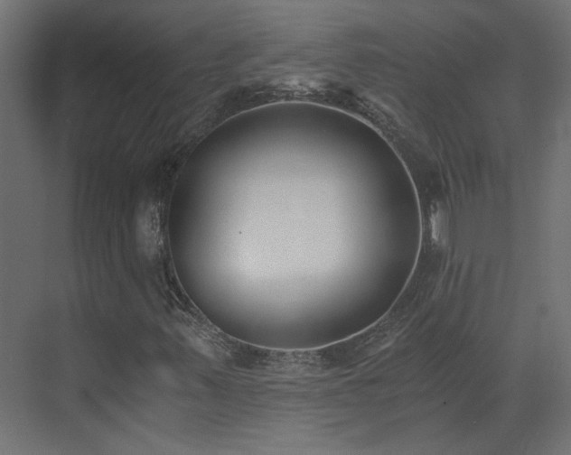 X0000073491347200607311216